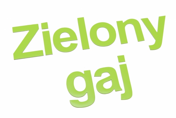 Alfabet Magnetyczny 5 cm - małe litery w kolorze seledynowym